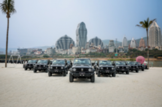 中國長城汽車,世界坦克品牌