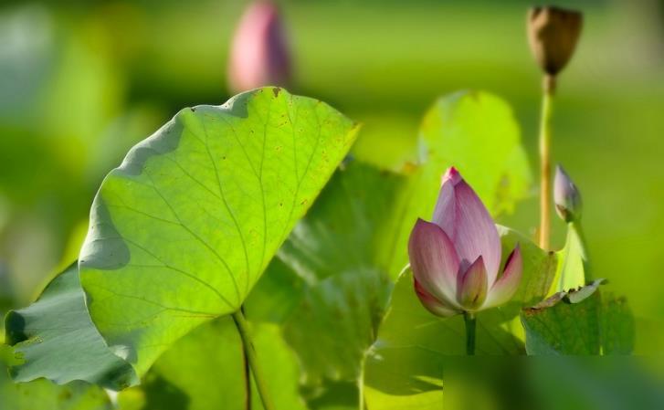 遇到這幾件吉利的事,說(shuō)明你要走大運(yùn)了